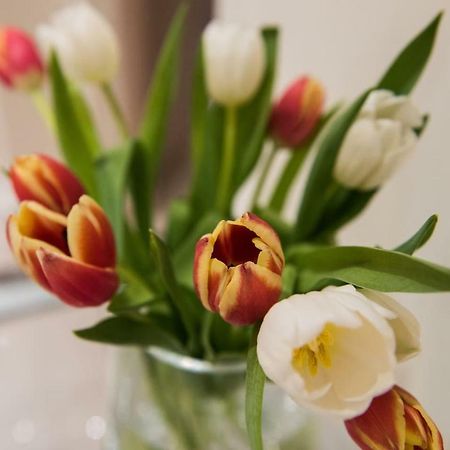 Ammos Elegant Luxury Apartment Korfu Dış mekan fotoğraf