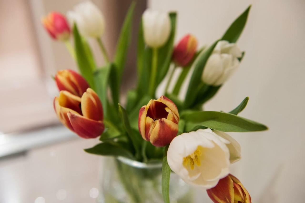Ammos Elegant Luxury Apartment Korfu Dış mekan fotoğraf
